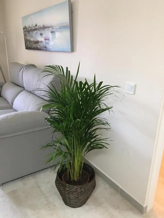Luxury Apartamento Minerva Júpiter Benalmádena 0*,